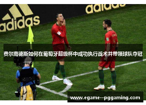 费尔南德斯如何在葡萄牙超级杯中成功执行战术并带领球队夺冠