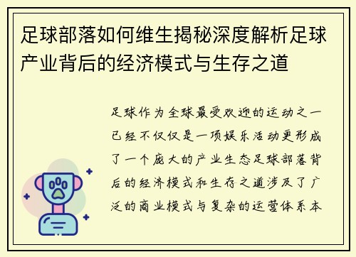 足球部落如何维生揭秘深度解析足球产业背后的经济模式与生存之道