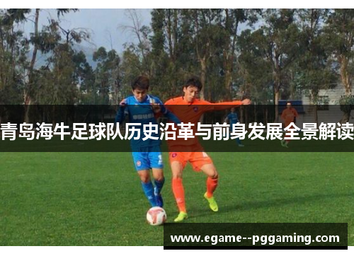 青岛海牛足球队历史沿革与前身发展全景解读